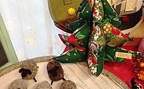 11月　永谷タウンプラザ